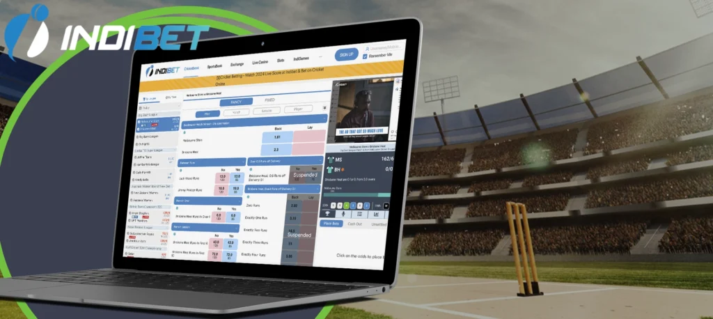 IPL betting line of Indibet bookmaker 