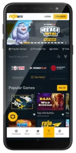 Rajabets App