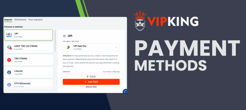 VIP King payment methods & processing