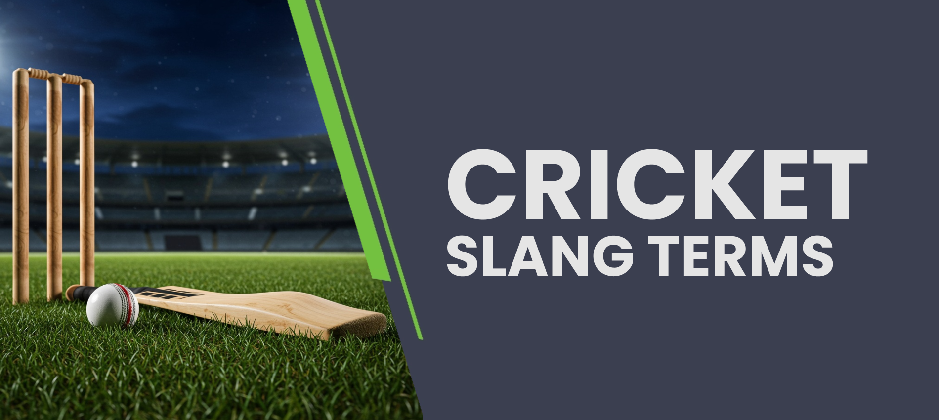 Cricket Slang Terms Worldwide and in India