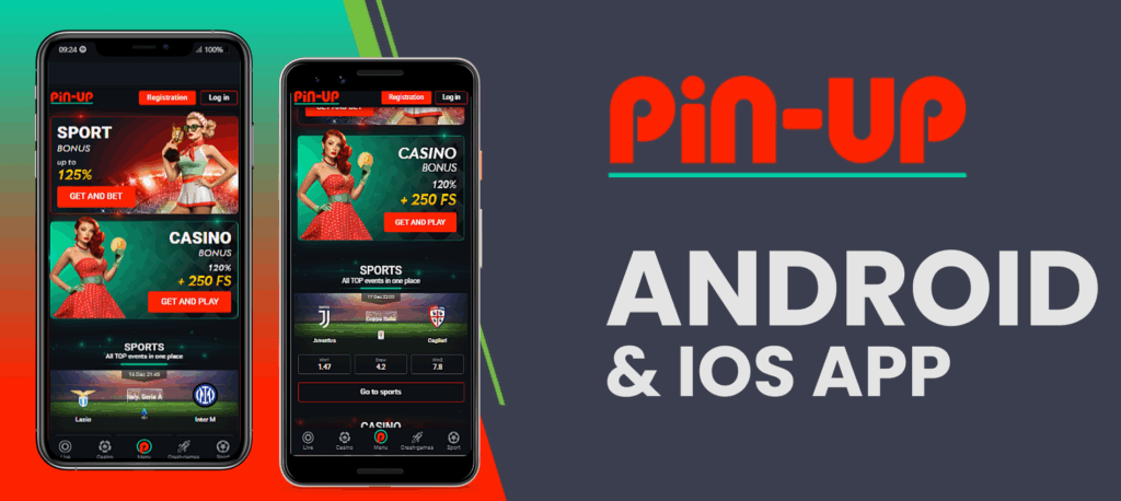 Using the Pin-Up mobile app