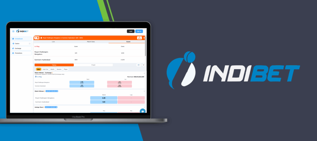 General overview of Indibet India features